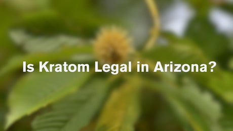 Is Kratom Legal in Arizona? Full Facts