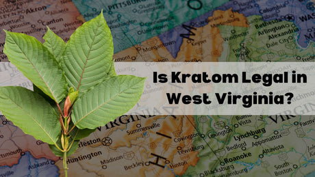 Is Kratom Legal in West Virginia?