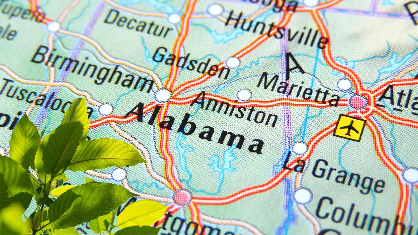 Is Kratom Legal in Alabama