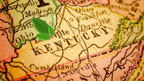 Is Kratom Legal in Kentucky