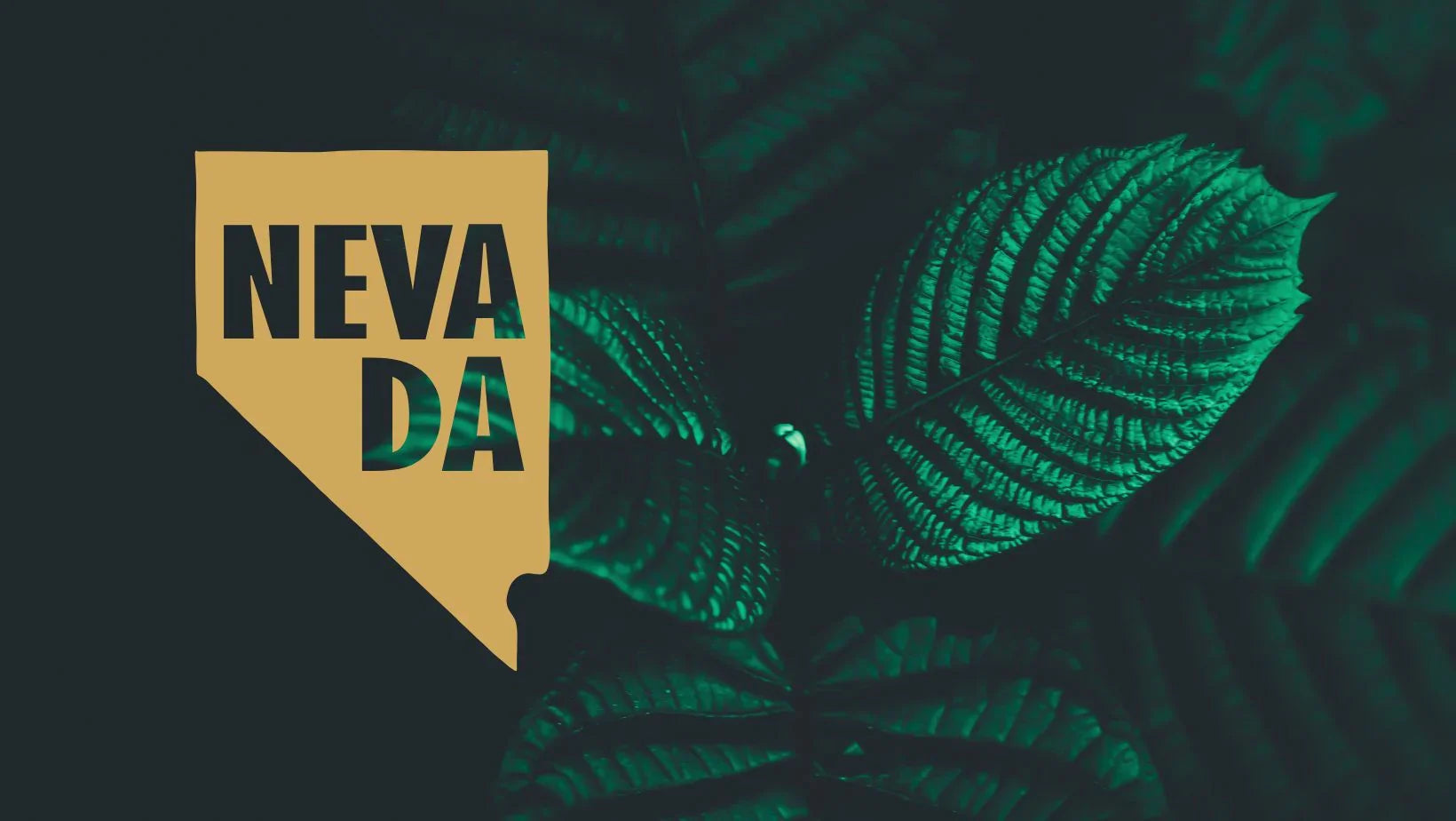 Is Kratom Legal in Nevada