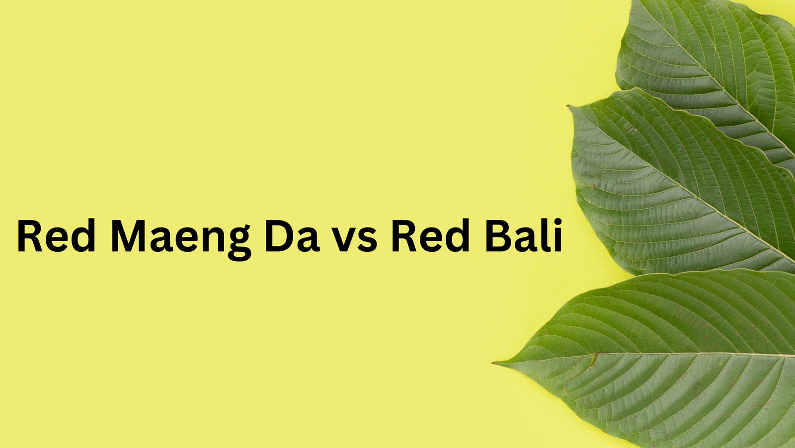 Red Maeng Da vs Red Bali